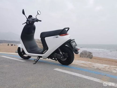 实测九号电动车e100,看它是如何把小牛拍晕在沙滩上的