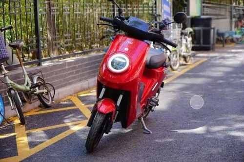 只有c1驾照不能骑电动车 别再被忽悠了,这3类电动车可以随便骑