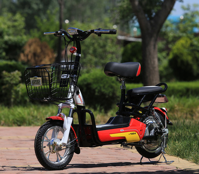 【绿源电动车FBC-4T4812-Z1 小天使】FBC-4T4812-Z1 小天使价格及图片_专卖店_参数_评论