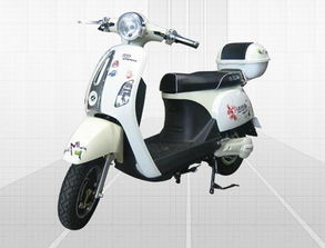 – 全球电动车网