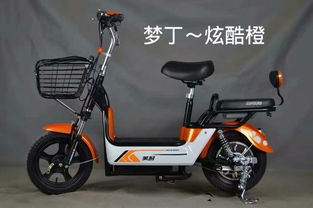 美耐电动车
