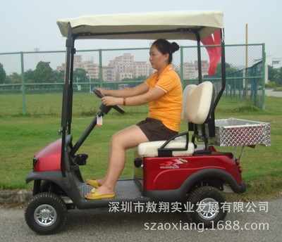 敖翔四轮家用代步电动车2座AX-D2厂家直销图片|敖翔四轮家用代步电动车2座AX-D2厂家直销产品图片由深圳市敖翔实业发展公司生产提供-