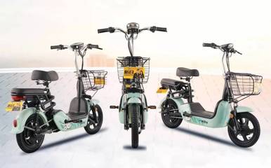 2020年电动车品牌排名top10