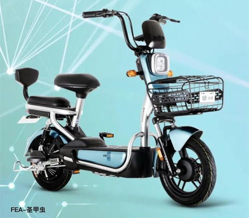 5款最能跑的新国标电动车,哪款车型续航更远