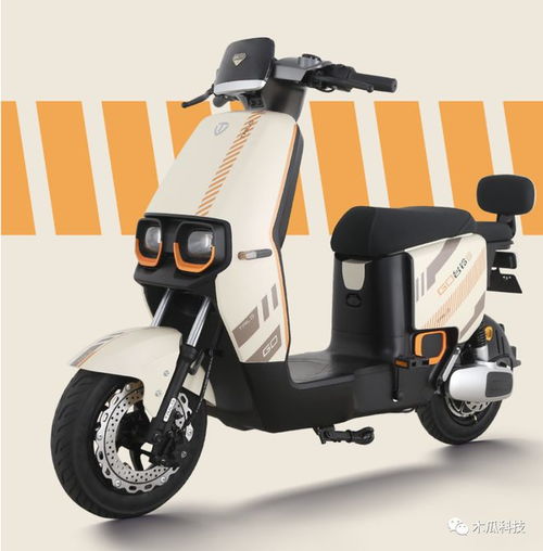 2款新品电动自行车亮相 外观时尚，功能全面，骑行体验升级